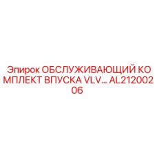 AL21200206 ОБСЛУЖИВАЮЩИЙ КОМПЛЕКТ ВПУСКА VLV | Epiroc