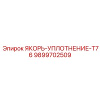 9899702509 ЯКОРЬ-УПЛОТНЕНИЕ-T76 Epiroc