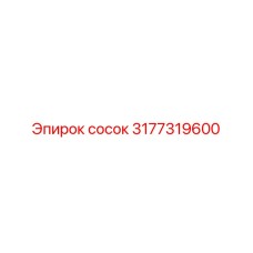 3177319600 Сосок Epiroc
