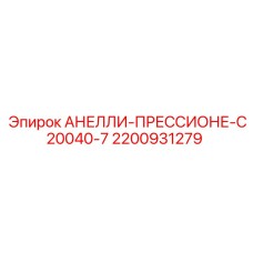 2200931279 АНЕЛЛИ-ПРЕССИОНЕ-C20040-7 Epiroc