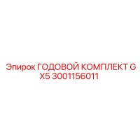 3001156011 ГОДОВОЙ КОМПЛЕКТ GX5 Эпирок