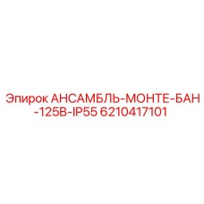 6210417101 АНСАМБЛЬ-МОНТЕ-БАН-125B-IP55 Epiroc