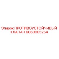 6060005254 ПРОТИВОУСТОЙЧИВЫЙ КЛАПАН Epiroc