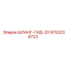 9753238723 ШЛАНГ-ГИД-20 Epiroc