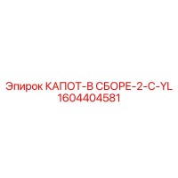 1604404581 КАПОТ-В СБОРЕ-2-C-YL Epiroc