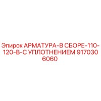 9170306060 АРМАТУРА-В СБОРЕ-110-120-В-С УПЛОТНЕНИЕМ Epiroc