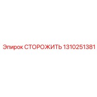 1310251381 СТОРОЖИТЬ Epiroc