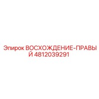 4812039291 ВОСХОЖДЕНИЕ-ПРАВЫЙ Epiroc