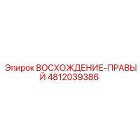 4812039386 ВОСХОЖДЕНИЕ-ПРАВЫЙ Epiroc