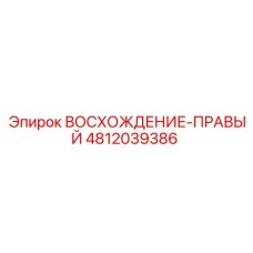 Деталь Epiroc ВОСХОЖДЕНИЕ-ПРАВЫЙ арт.4812039386 для экстремальных условий