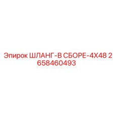 2658460493 ШЛАНГ-В СБОРЕ-4X48 Epiroc