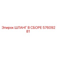 57609281 ШЛАНГ В СБОРЕ Эпирок