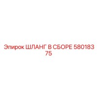58018375 ШЛАНГ В СБОРЕ Эпирок
