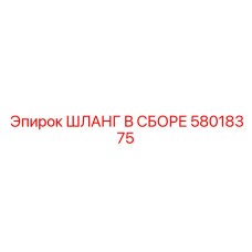 58018375 ШЛАНГ В СБОРЕ Эпирок