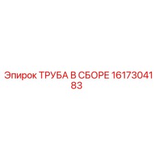 1617304183 Труба в сборе Эпирок