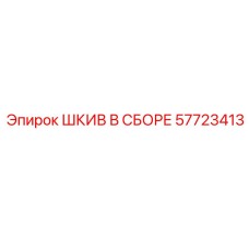 57723413 ШКИВ В СБОРЕ Epiroc