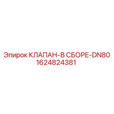 1624824381 КЛАПАН-В СБОРЕ-DN80 Epiroc