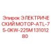 13101280 ЭЛЕКТРИЧЕСКИЙ МОТОР-ATL-75-0KW-225M Epiroc