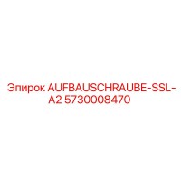 5730008470 AUFBAUSCHRAUBE-SSL-A2 Epiroc