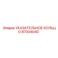 87004040 УКАЗАТЕЛЬНОЕ КОЛЬЦО Epiroc