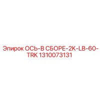 1310073131 ОСЬ-В СБОРЕ-2K-LB-60-TRK Epiroc
