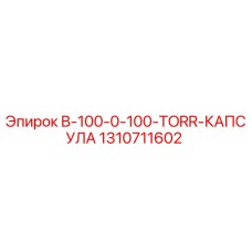 1310711602 B-100-0-100-TORR-КАПСУЛА Epiroc