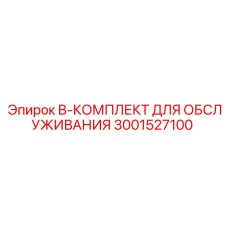3001527100 B-КОМПЛЕКТ ДЛЯ ОБСЛУЖИВАНИЯ Epiroc