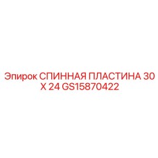 GS15870422 СПИННАЯ ПЛАСТИНА 30 X 24 | Epiroc