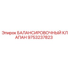 9753237823 БАЛАНСИРОВОЧНЫЙ КЛАПАН Epiroc