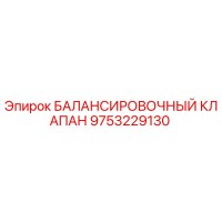 9753229130 БАЛАНСИРОВОЧНЫЙ КЛАПАН Epiroc