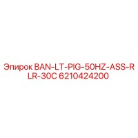 6210424200 BAN-LT-PIG-50HZ-ASS-RLR-30C Epiroc