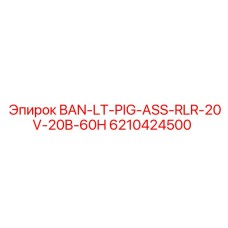 6210424500 BAN-LT-PIG-ASS-RLR-20V-20B-60H Epiroc