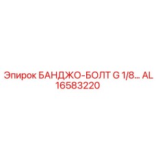 AL16583220 БАНДЖО-БОЛТ G 1/8 Epiroc
