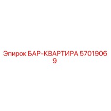 57019069 БАР-КВАРТИРА Epiroc