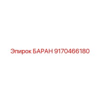 9170466180 БАРАН Epiroc