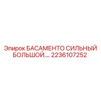 2236107252 БАСАМЕНТО СИЛЬНЫЙ БОЛЬШОЙ Epiroc