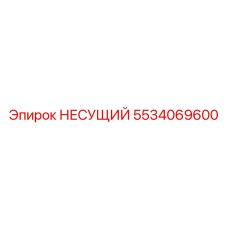 5534069600 НЕСУЩИЙ Epiroc