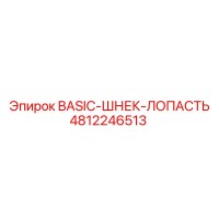 4812246513 BASIC-ШНЕК-ЛОПАСТЬ Epiroc