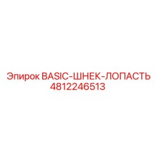 4812246513 BASIC-ШНЕК-ЛОПАСТЬ Epiroc
