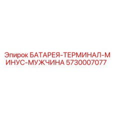 5730007077 БАТАРЕЯ-ТЕРМИНАЛ-МИНУС-МУЖЧИНА Epiroc
