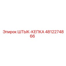 4812274866 ШТЫК-КЕПКА Epiroc