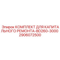 2906072500 КОМПЛЕКТ ДЛЯ КАПИТАЛЬНОГО РЕМОНТА-BD260-3000 Epiroc