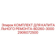 2906072500 КОМПЛЕКТ ДЛЯ КАПИТАЛЬНОГО РЕМОНТА-BD260-3000 Epiroc