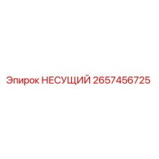 2657456725 НЕСУЩИЙ Epiroc