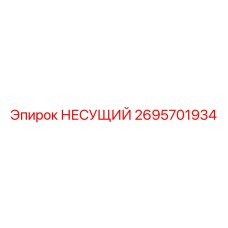 2695701934 НЕСУЩИЙ Epiroc