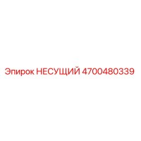 4700480339 НЕСУЩИЙ Epiroc