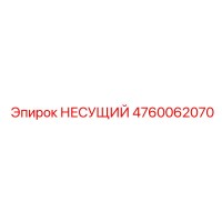 4760062070 НЕСУЩИЙ Эпирок