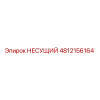4812156164 НЕСУЩИЙ Epiroc