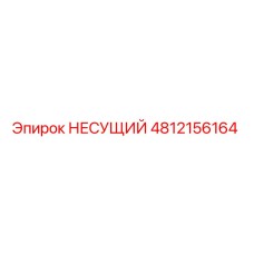 4812156164 НЕСУЩИЙ Epiroc