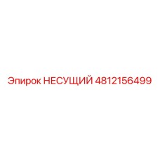 4812156499 НЕСУЩИЙ Epiroc